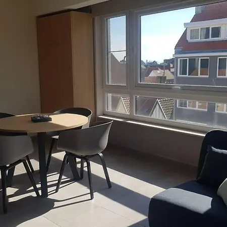 Studio Voor 2 Of 3 Pers Met Zeezicht Ostende